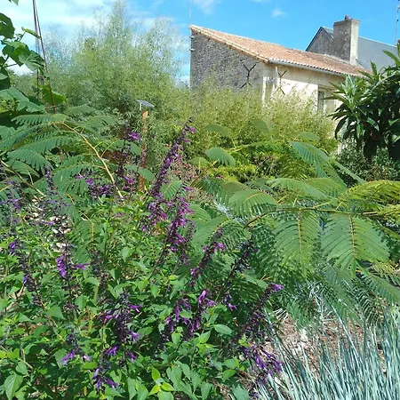 The Piggeries At La Maison Tumtum Arbre Лудён